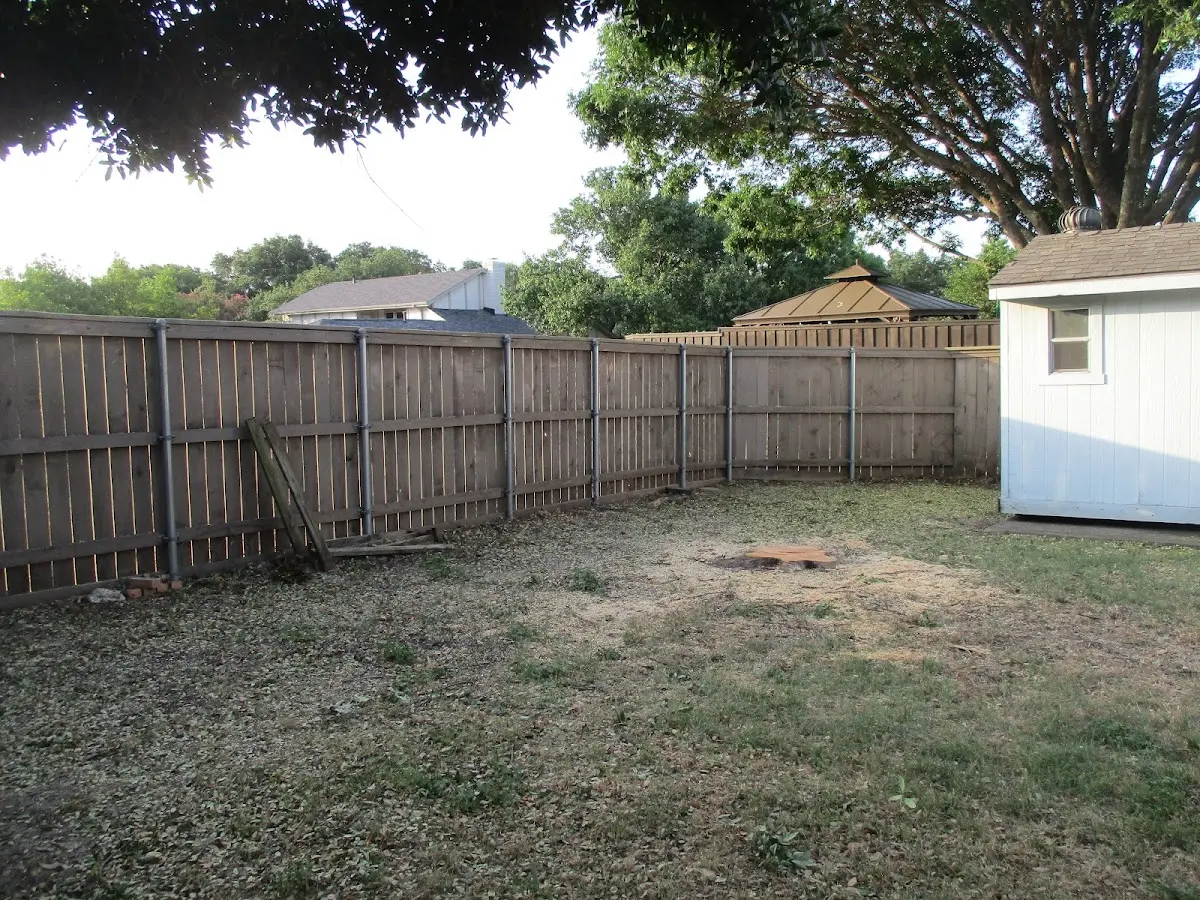 Cleared yard after professional tree removal in Dozier