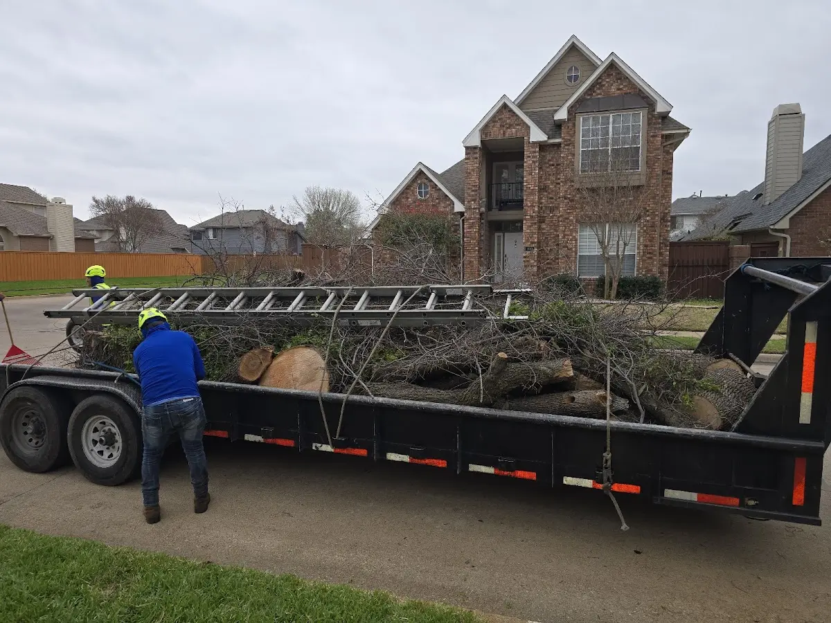 Expert Tree Fertilization with proper safety equipment in Dozier